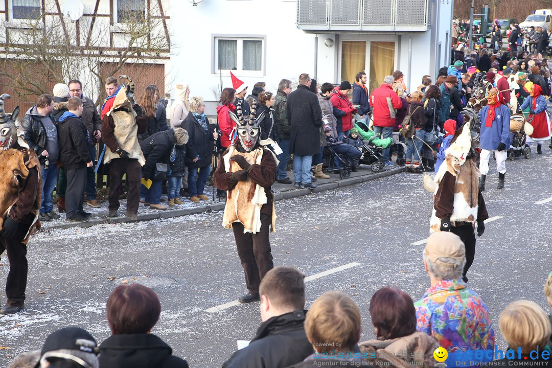 Narrensprung: Hasenweiler am Bodensee, 12.01.2014