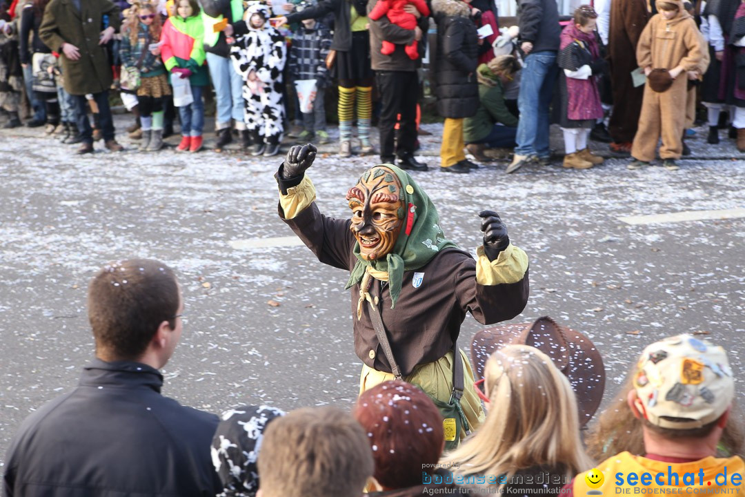 Narrensprung: Hasenweiler am Bodensee, 12.01.2014