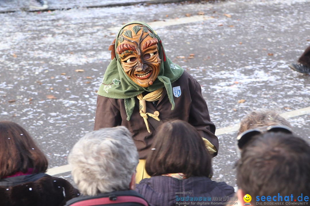 Narrensprung: Hasenweiler am Bodensee, 12.01.2014