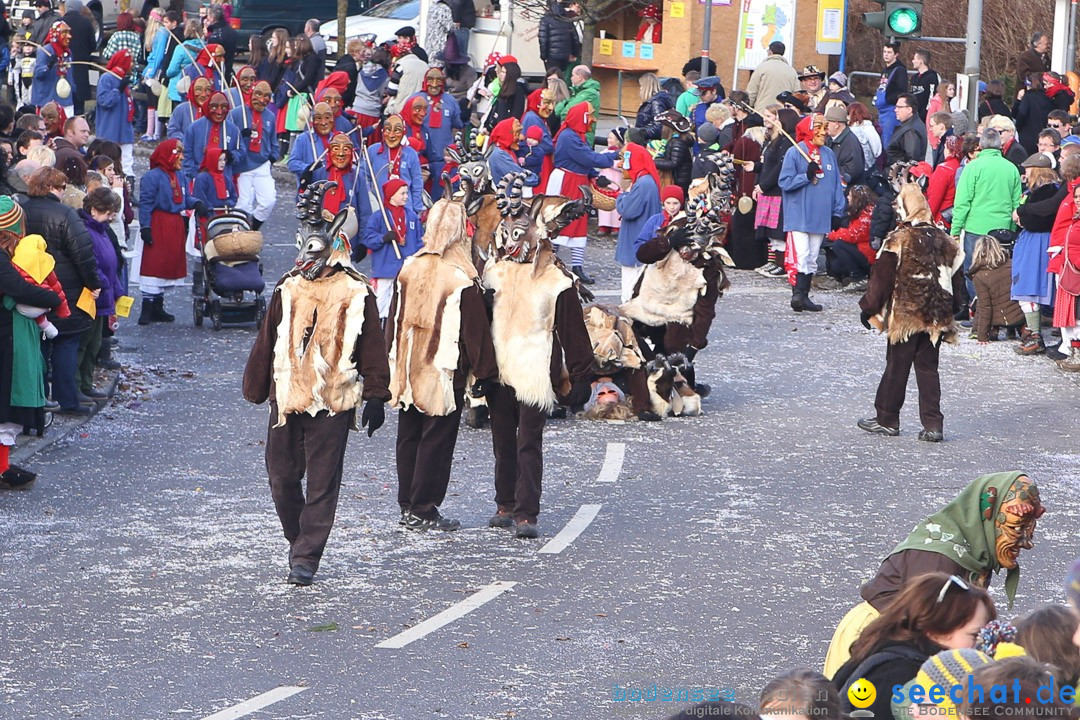 Narrensprung: Hasenweiler am Bodensee, 12.01.2014