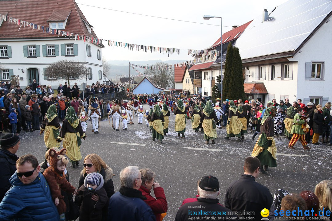 Narrensprung: Hasenweiler am Bodensee, 12.01.2014