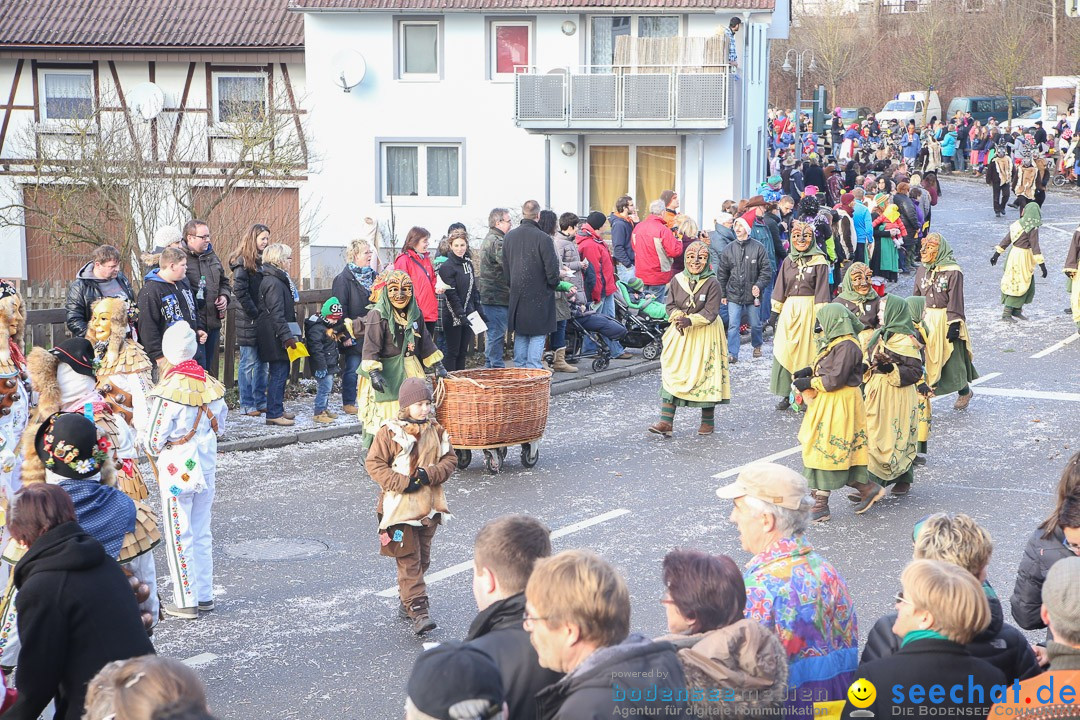 Narrensprung: Hasenweiler am Bodensee, 12.01.2014