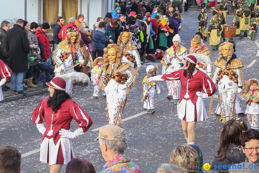 Narrensprung: Hasenweiler am Bodensee, 12.01.2014