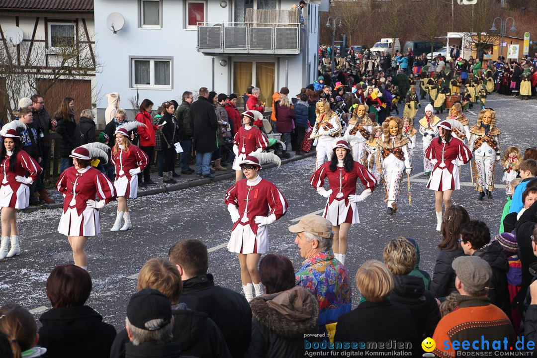 Narrensprung: Hasenweiler am Bodensee, 12.01.2014