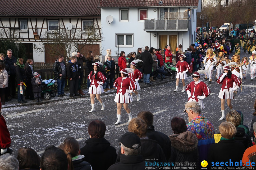 Narrensprung: Hasenweiler am Bodensee, 12.01.2014