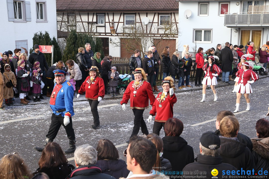 Narrensprung: Hasenweiler am Bodensee, 12.01.2014