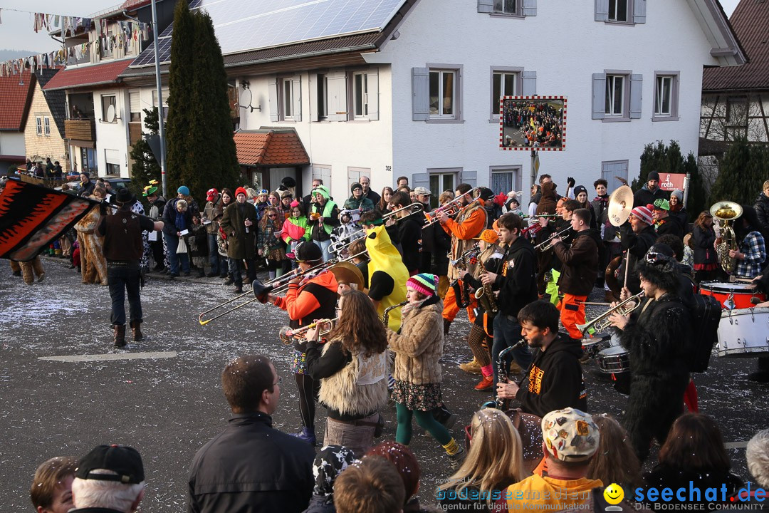 Narrensprung: Hasenweiler am Bodensee, 12.01.2014