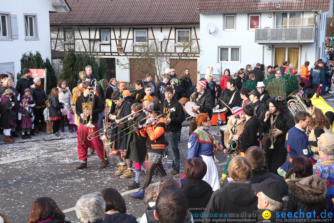 Narrensprung: Hasenweiler am Bodensee, 12.01.2014