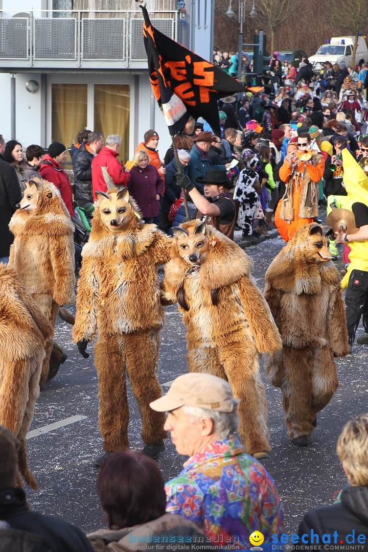 Narrensprung: Hasenweiler am Bodensee, 12.01.2014