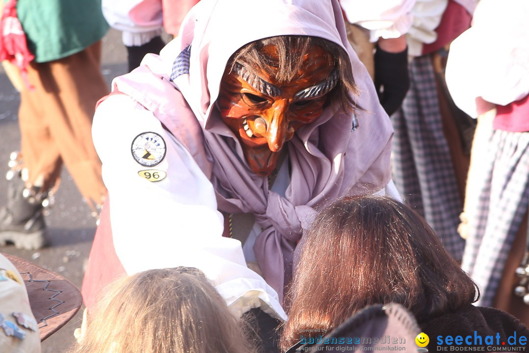 Narrensprung: Hasenweiler am Bodensee, 12.01.2014