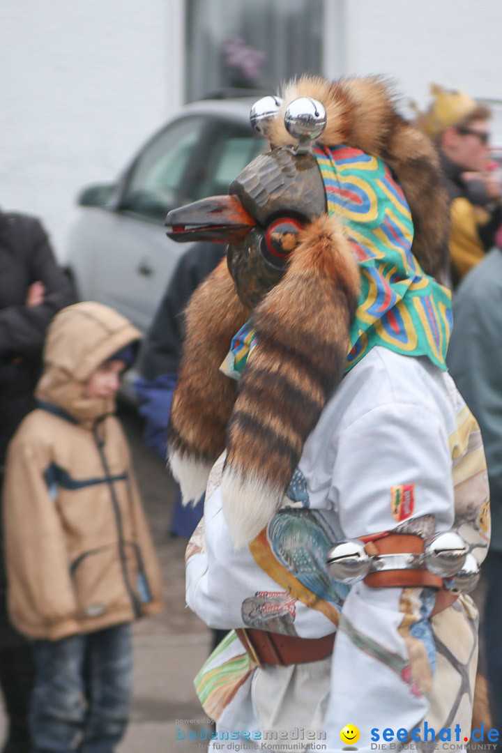 Jubilaeumsumzug-Berg-180114-Bodensee-Community-Seechat_de--3194.jpg