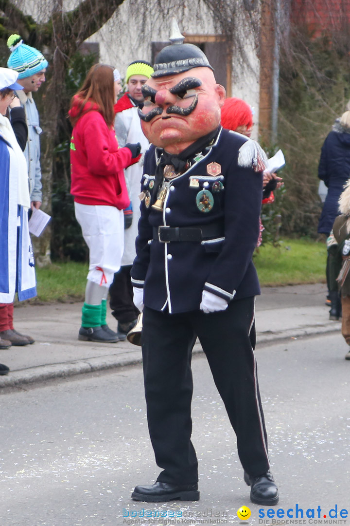 Jubilaeumsumzug-Berg-180114-Bodensee-Community-Seechat_de--3212.jpg