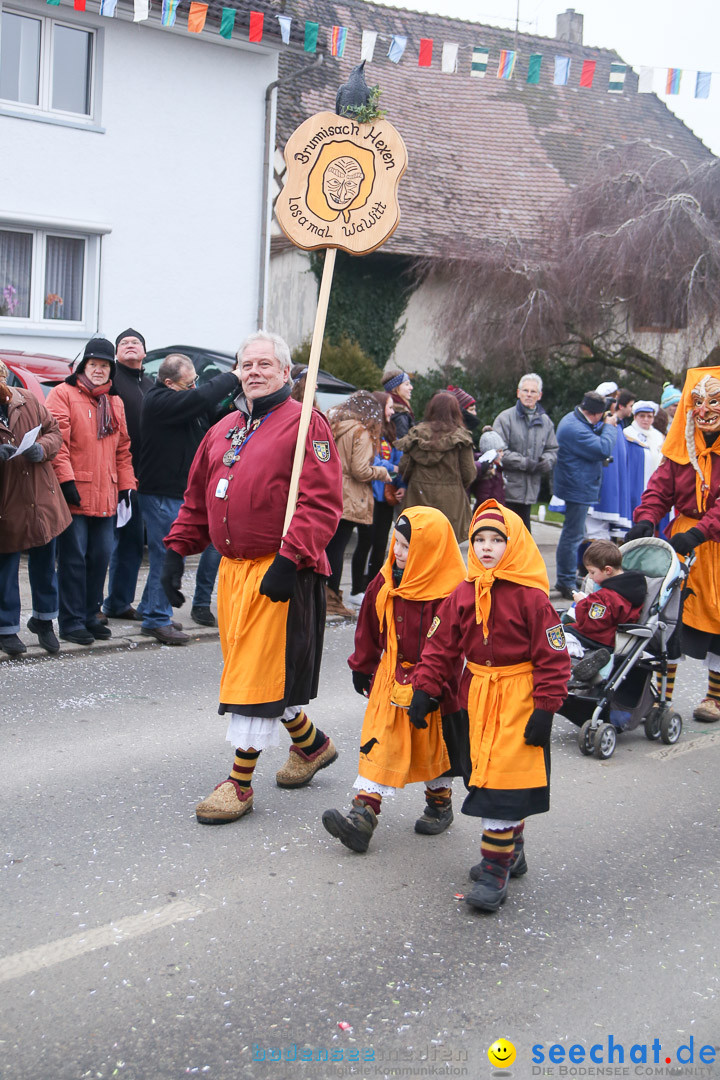 Jubilaeumsumzug-Berg-180114-Bodensee-Community-Seechat_de--3228.jpg