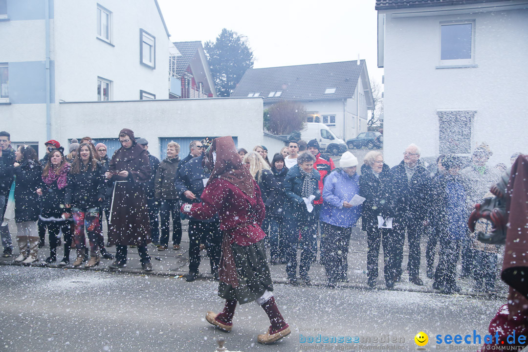 Jubilaeumsumzug-Berg-180114-Bodensee-Community-Seechat_de--3256.jpg