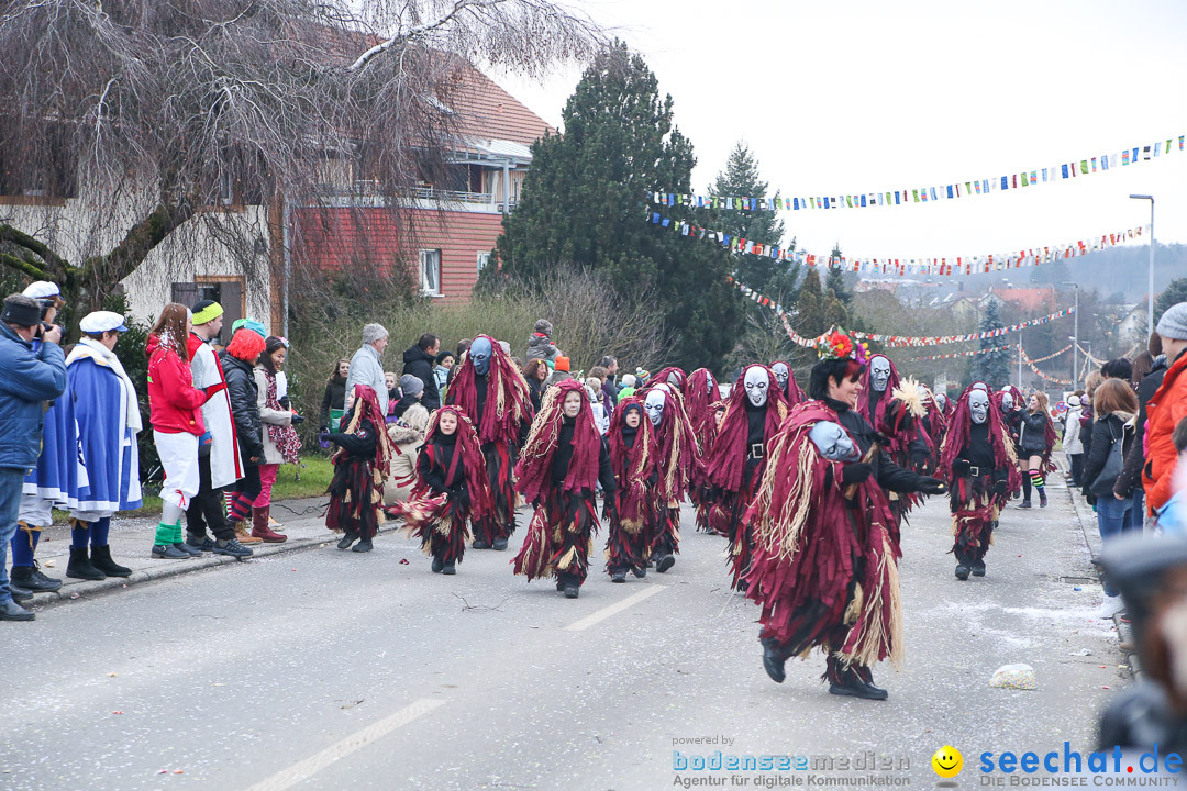 Jubilaeumsumzug-Berg-180114-Bodensee-Community-Seechat_de--3262.jpg