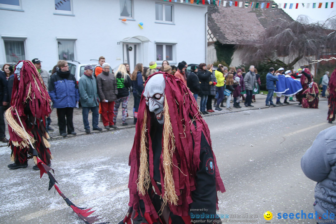 Jubilaeumsumzug-Berg-180114-Bodensee-Community-Seechat_de--3264.jpg