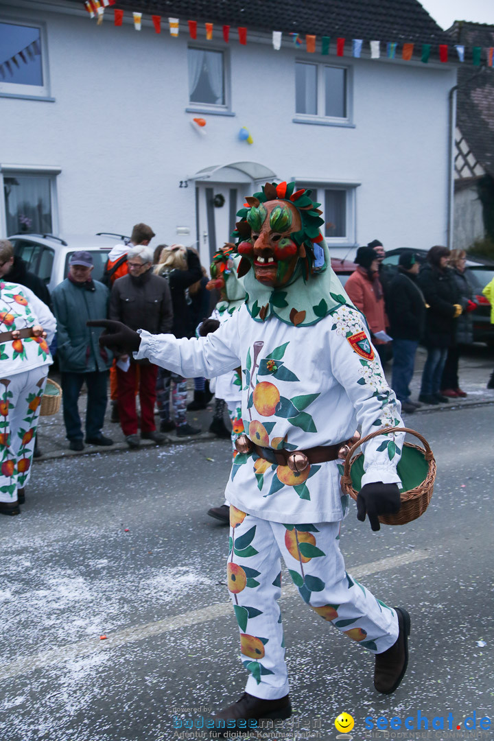 Jubilaeumsumzug-Berg-180114-Bodensee-Community-Seechat_de--3282.jpg