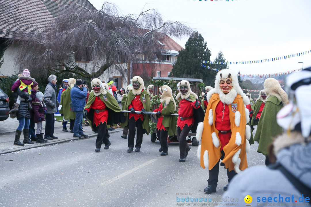 Jubilaeumsumzug-Berg-180114-Bodensee-Community-Seechat_de--3289.jpg