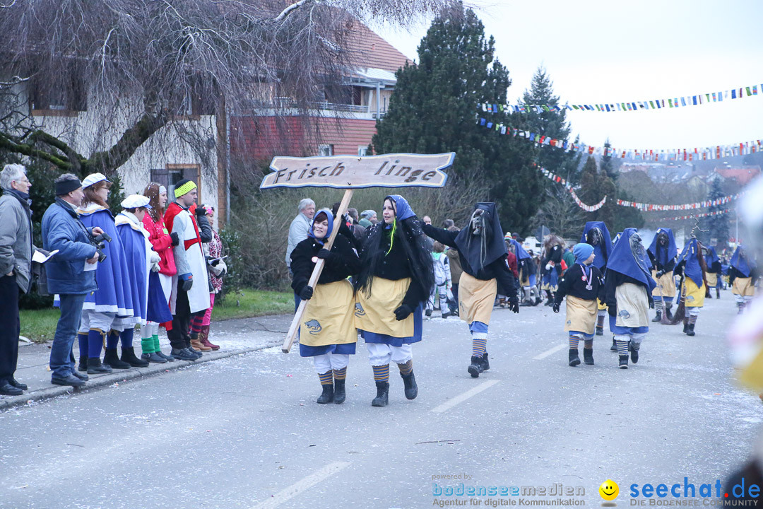 Jubilaeumsumzug-Berg-180114-Bodensee-Community-Seechat_de--3300.jpg