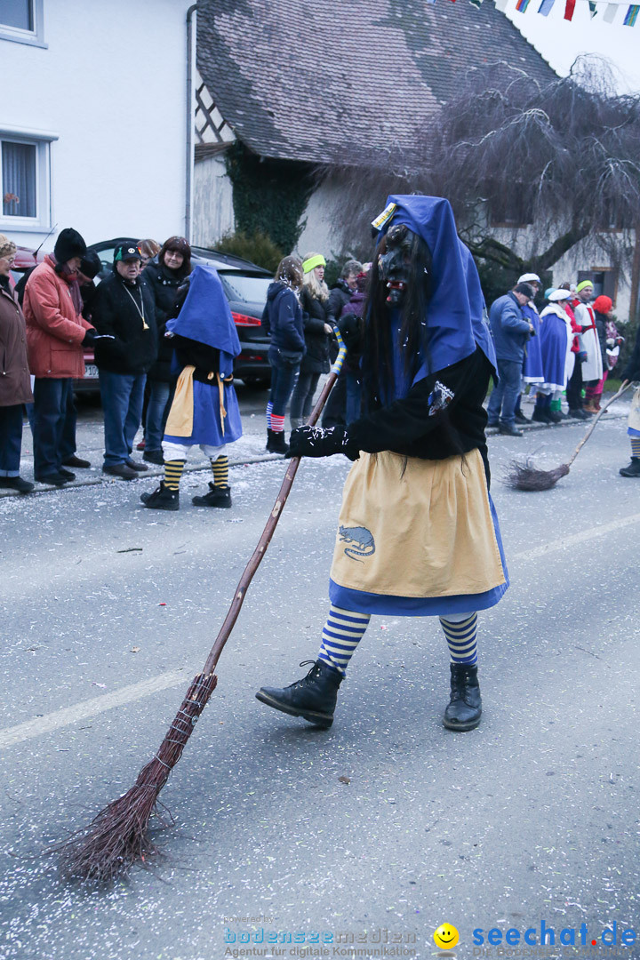 Jubilaeumsumzug-Berg-180114-Bodensee-Community-Seechat_de--3305.jpg