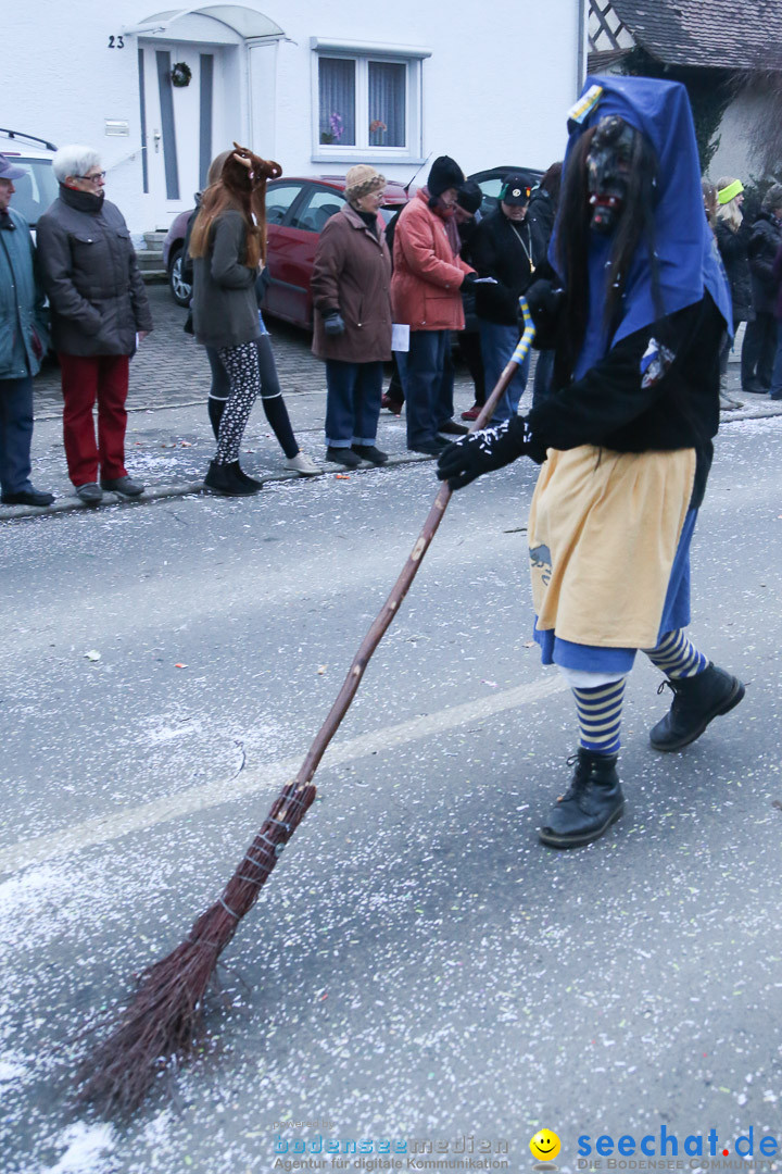 Jubilaeumsumzug-Berg-180114-Bodensee-Community-Seechat_de--3306.jpg