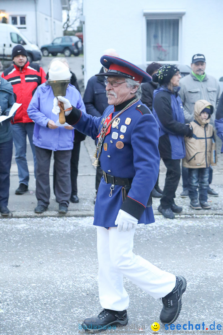 Jubilaeumsumzug-Berg-180114-Bodensee-Community-Seechat_de--3326.jpg