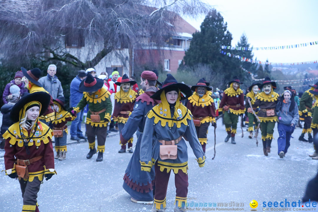 Jubilaeumsumzug-Berg-180114-Bodensee-Community-Seechat_de--3329.jpg