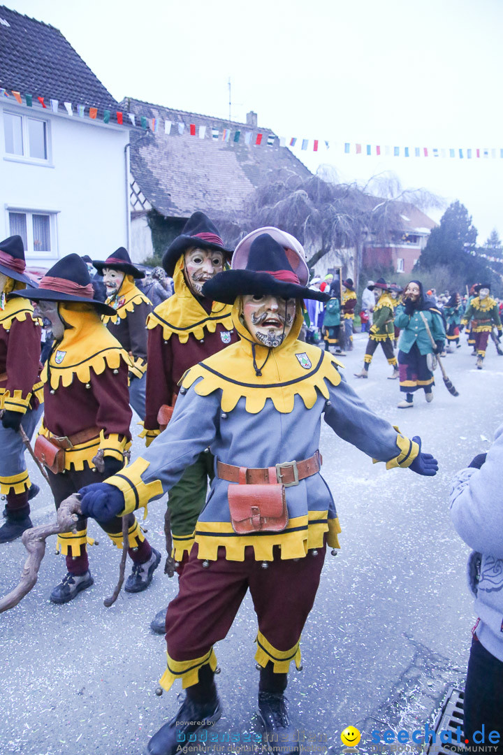 Jubilaeumsumzug-Berg-180114-Bodensee-Community-Seechat_de--3330.jpg