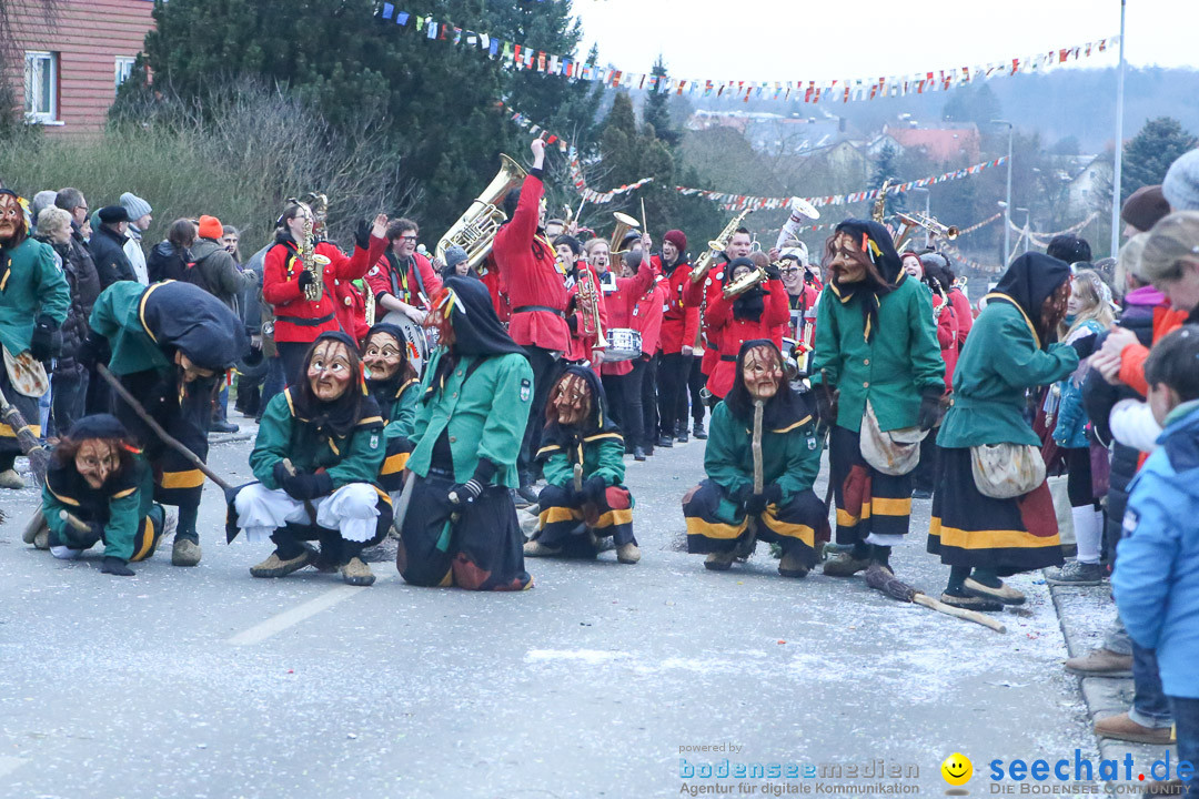 Jubilaeumsumzug-Berg-180114-Bodensee-Community-Seechat_de--3332.jpg