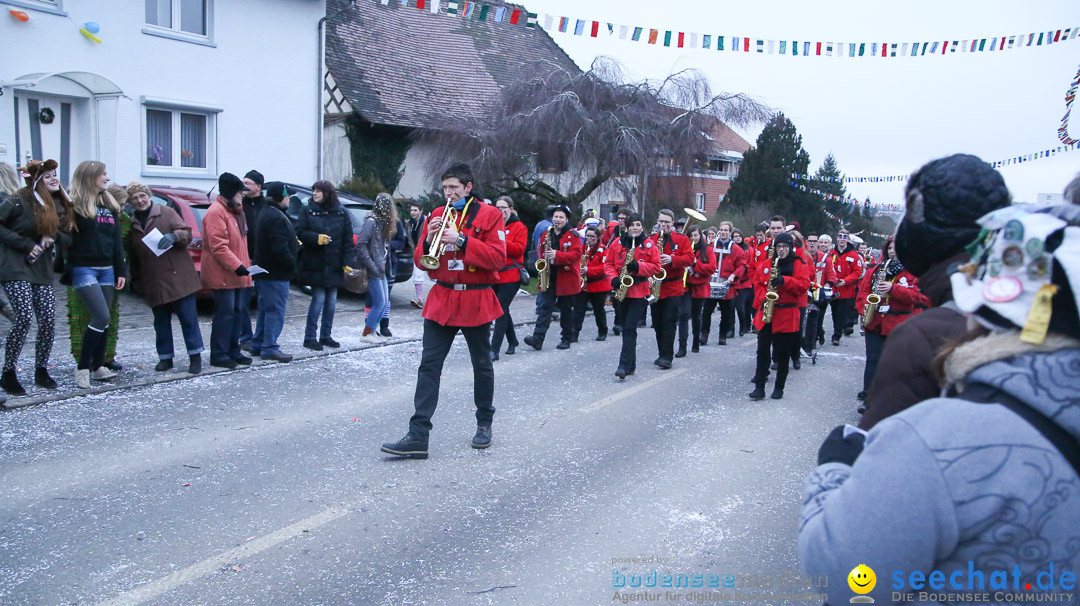 Jubilaeumsumzug-Berg-180114-Bodensee-Community-Seechat_de--3334.jpg