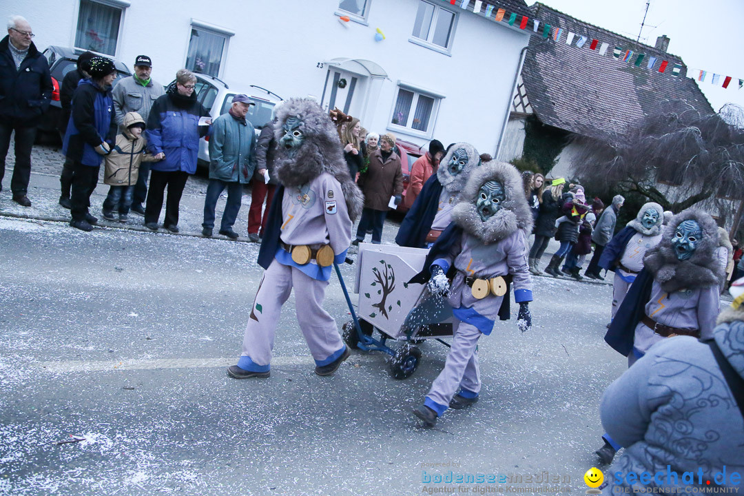 Jubilaeumsumzug-Berg-180114-Bodensee-Community-Seechat_de--3337.jpg