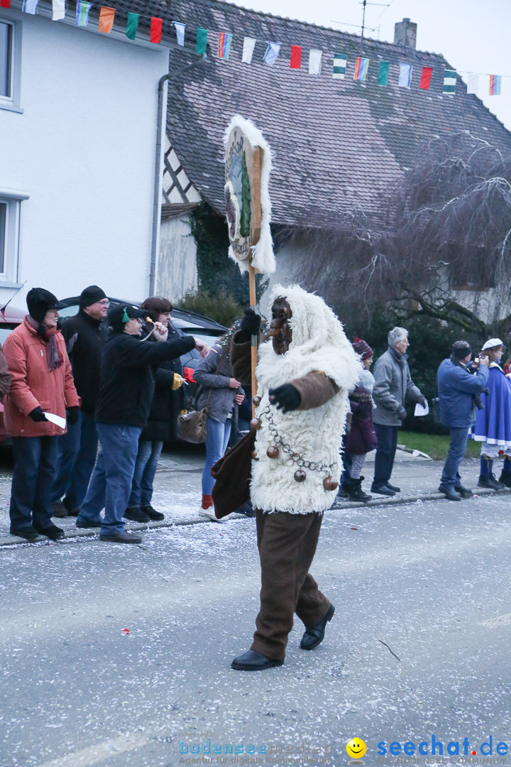 Jubilaeumsumzug-Berg-180114-Bodensee-Community-Seechat_de--3338.jpg