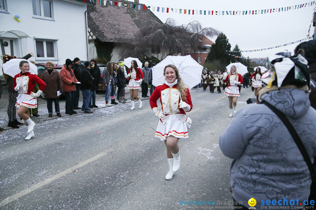 Jubilaeumsumzug-Berg-180114-Bodensee-Community-Seechat_de--3339.jpg