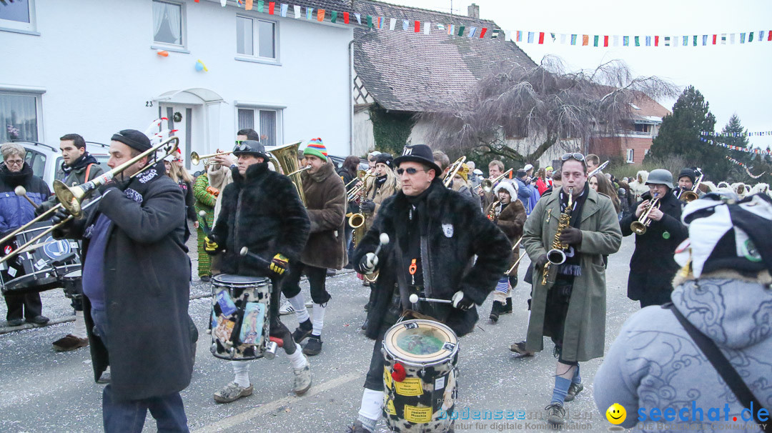 Jubilaeumsumzug-Berg-180114-Bodensee-Community-Seechat_de--3342.jpg