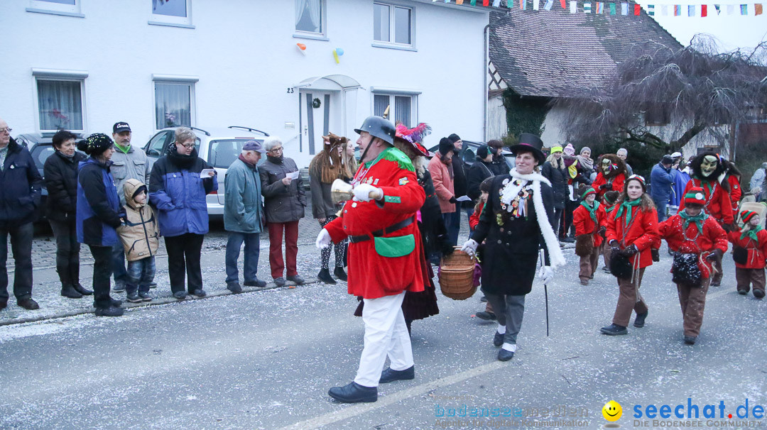 Jubilaeumsumzug-Berg-180114-Bodensee-Community-Seechat_de--3346.jpg