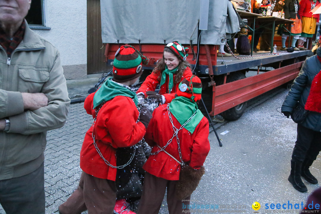 Jubilaeumsumzug-Berg-180114-Bodensee-Community-Seechat_de--3350.jpg