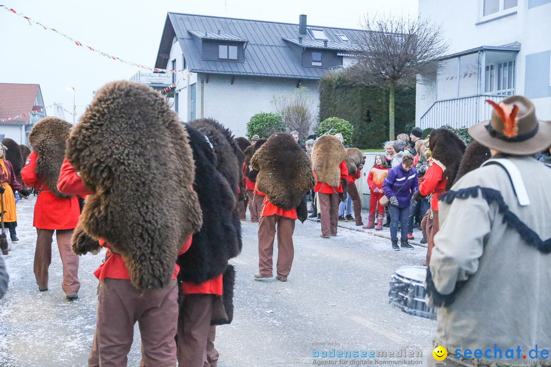 Jubilaeumsumzug-Berg-180114-Bodensee-Community-Seechat_de--3354.jpg