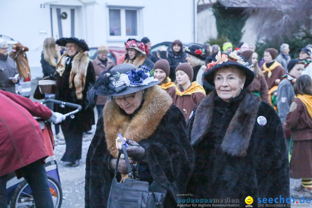 Jubilaeumsumzug-Berg-180114-Bodensee-Community-Seechat_de--3355.jpg