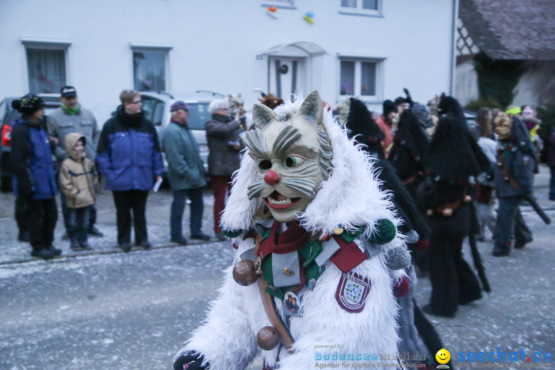 Jubilaeumsumzug-Berg-180114-Bodensee-Community-Seechat_de--3356.jpg