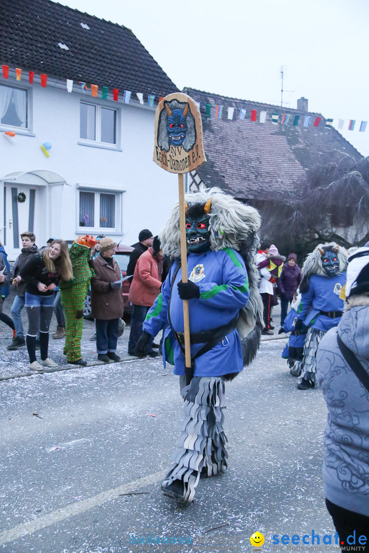 Jubilaeumsumzug-Berg-180114-Bodensee-Community-Seechat_de--3362.jpg