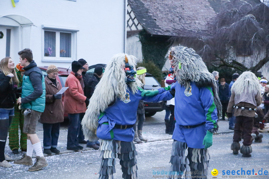 Jubilaeumsumzug-Berg-180114-Bodensee-Community-Seechat_de--3369.jpg