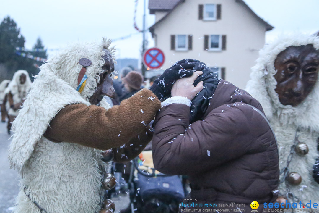 Jubilaeumsumzug-Berg-180114-Bodensee-Community-Seechat_de--3376.jpg