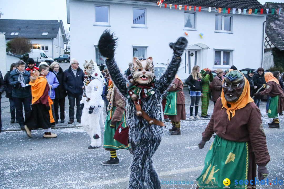 X1-Jubilaeumsumzug-Berg-180114-Bodensee-Community-Seechat_de--3311.jpg