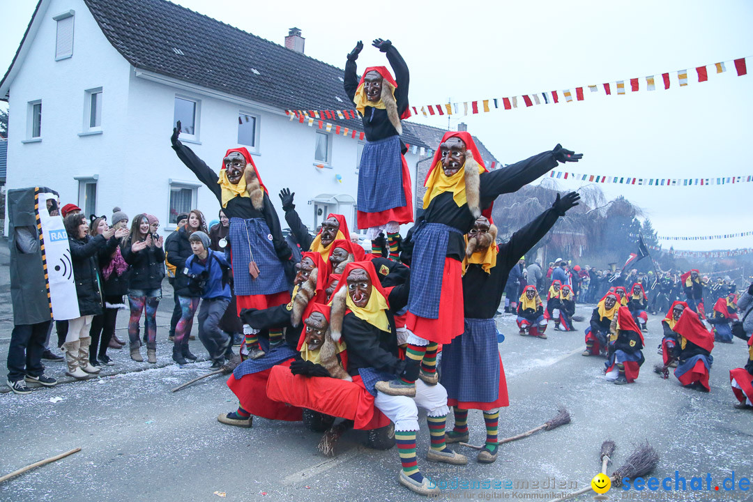 X2-Jubilaeumsumzug-Berg-180114-Bodensee-Community-Seechat_de--3361.jpg