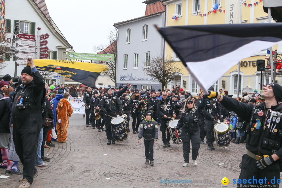 Narrensprung: Langenargen am Bodensee, 19.01.2014