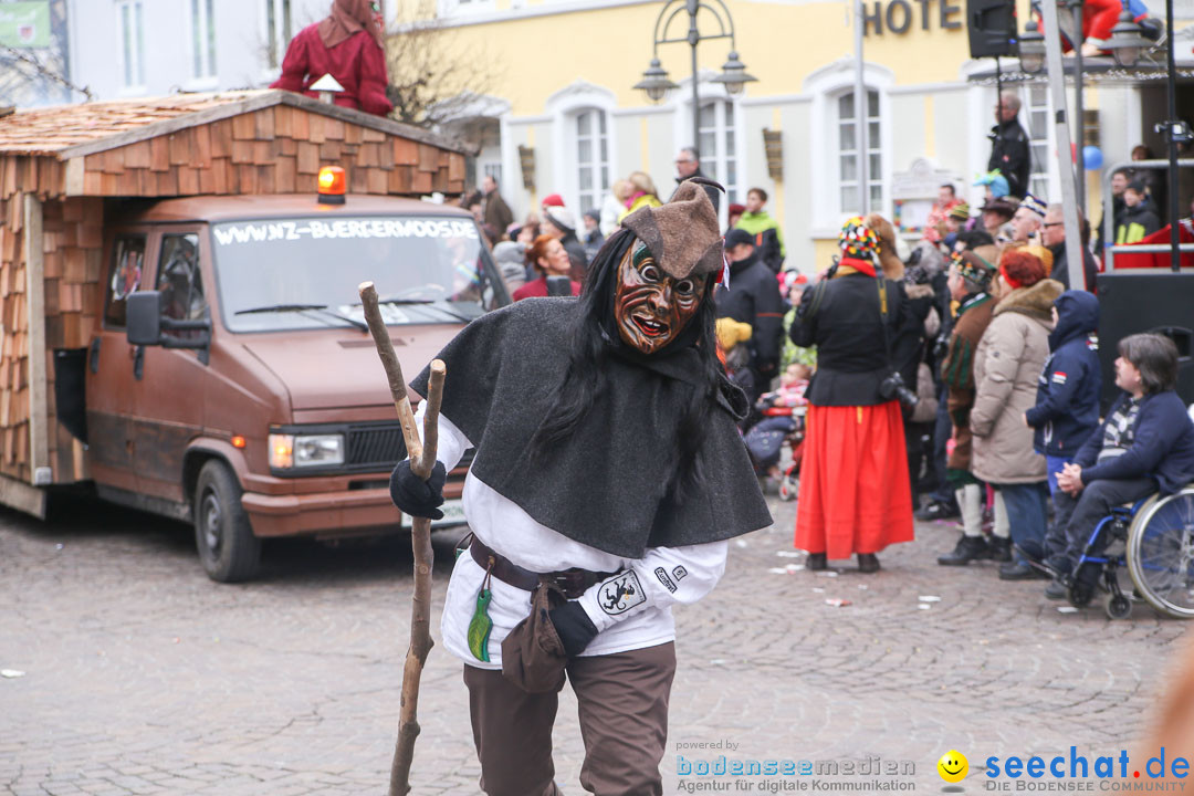 Narrensprung: Langenargen am Bodensee, 19.01.2014