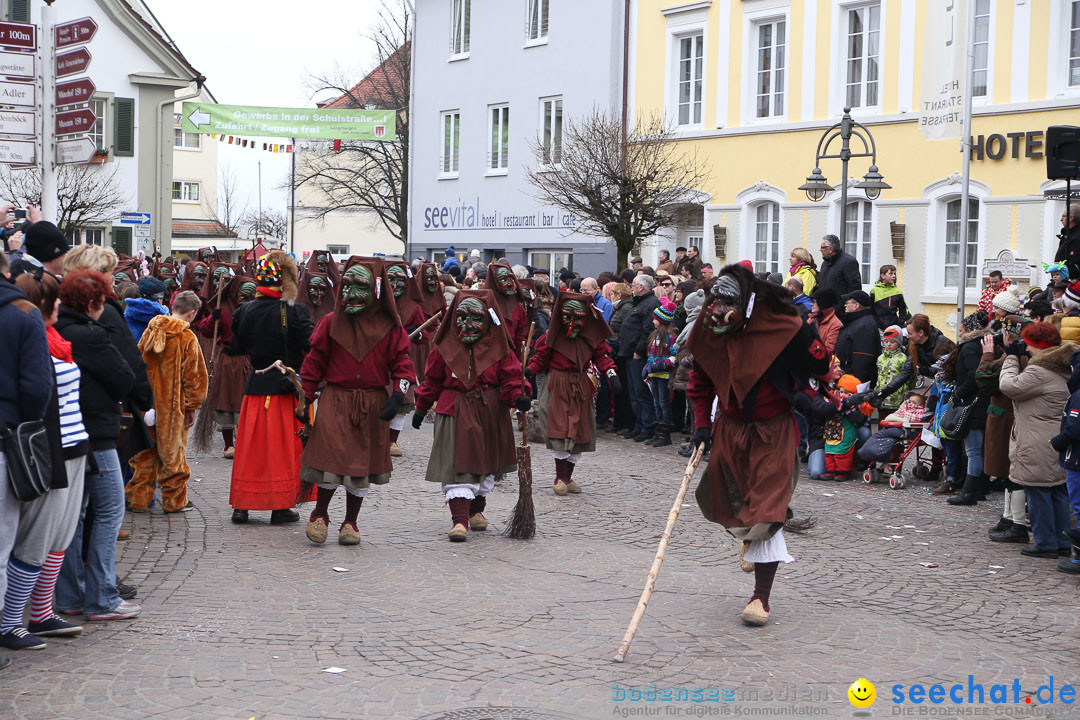 Narrensprung: Langenargen am Bodensee, 19.01.2014