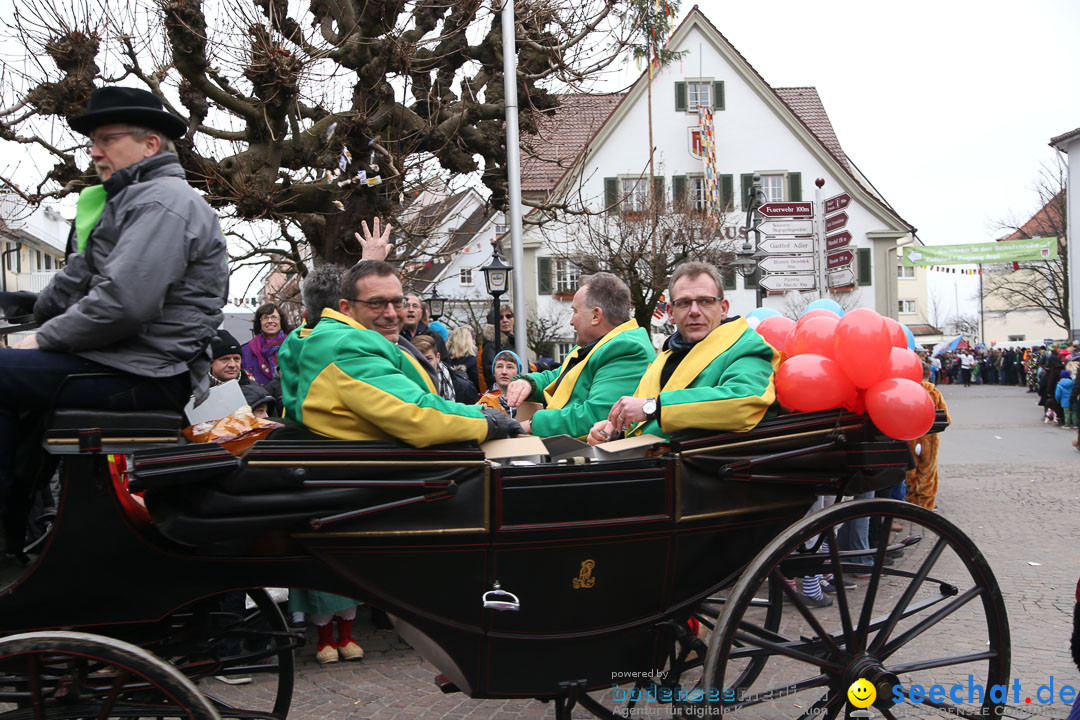 Narrensprung: Langenargen am Bodensee, 19.01.2014