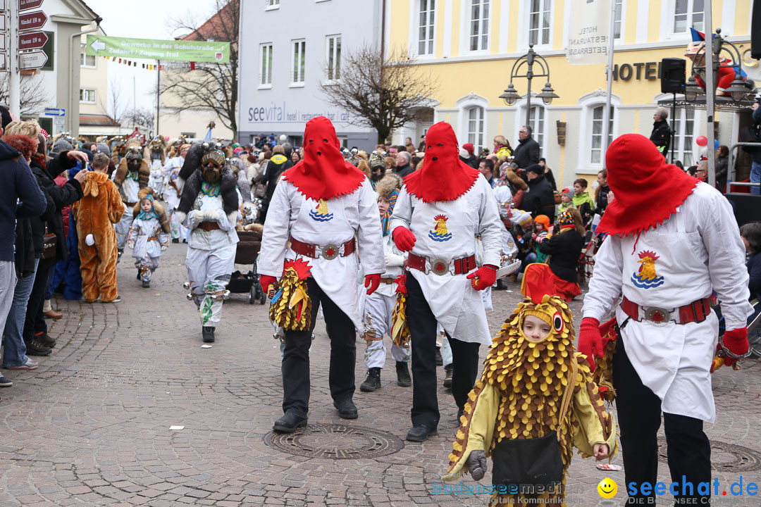 Narrensprung: Langenargen am Bodensee, 19.01.2014