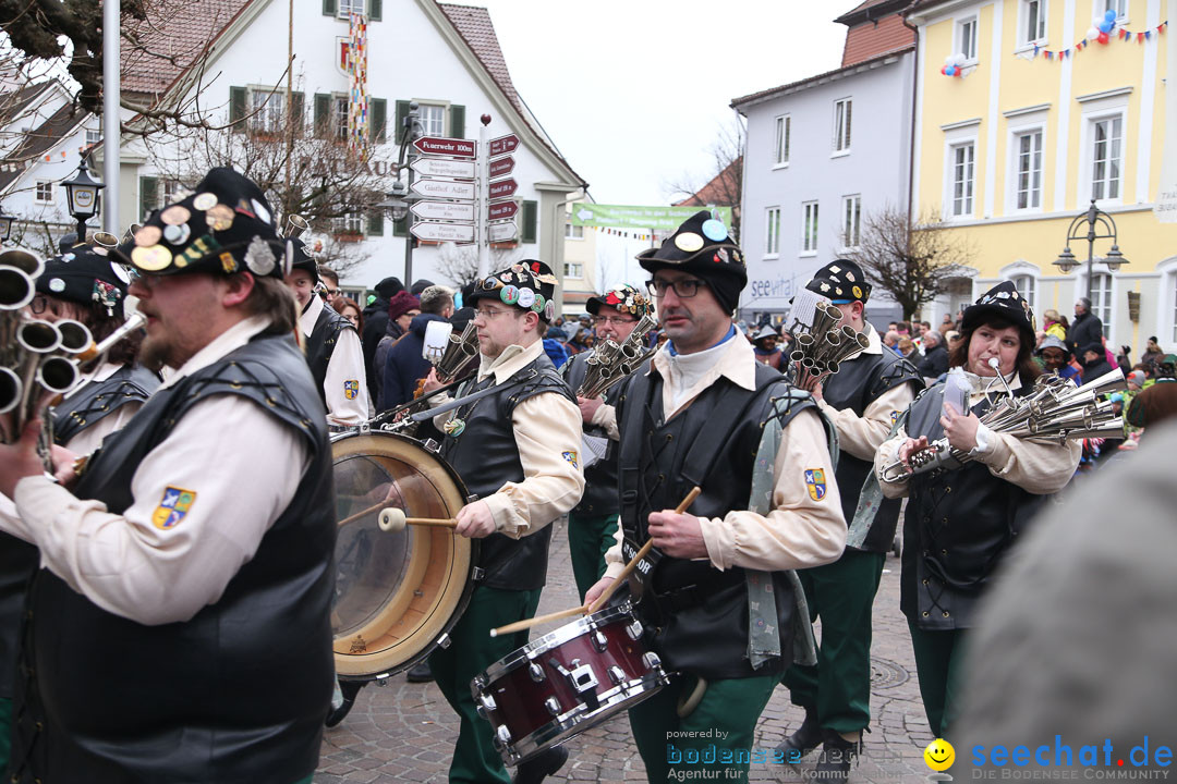 Narrensprung: Langenargen am Bodensee, 19.01.2014